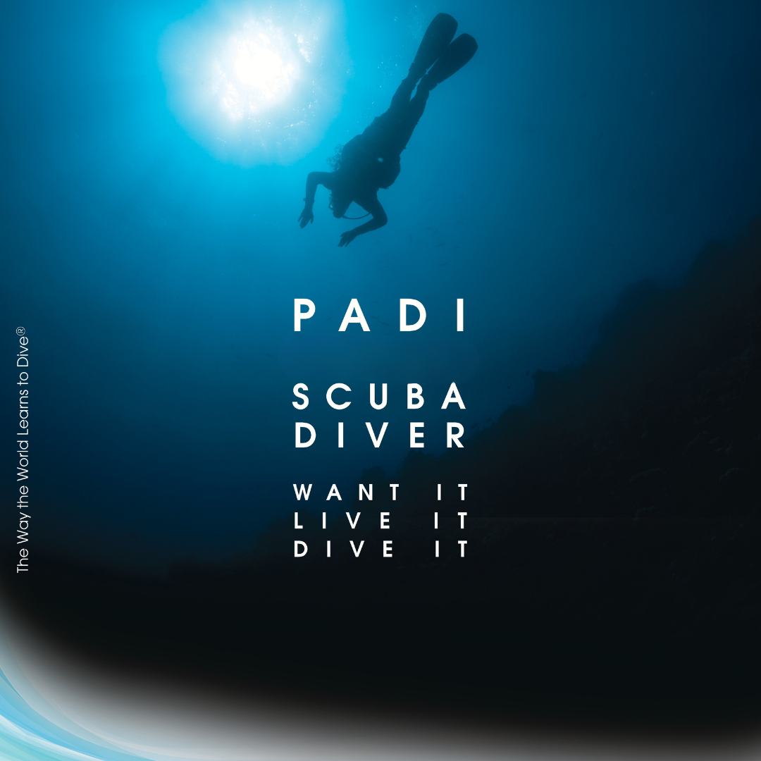 Scuba Diver Course