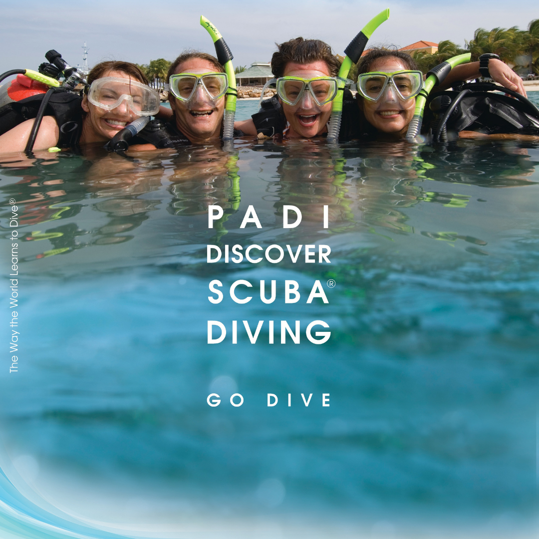 Discover Scuba Diving