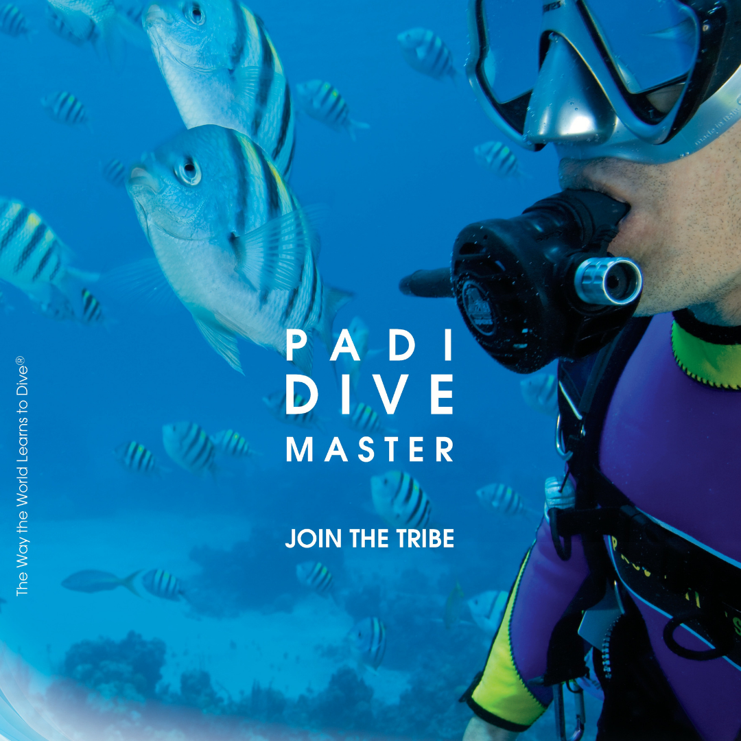 Divemaster
