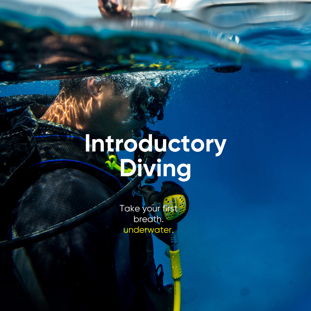Introductory Diving